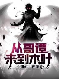 从哥谭来到木叶