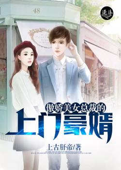 傲娇美女总裁的上门豪婿