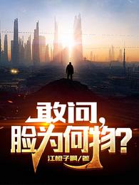 敢问，脸为何物？