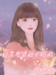 校花老婆她又跑啦