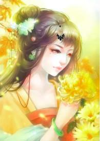 不负娉婷意(古言，)