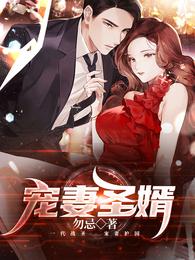 宠妻圣婿