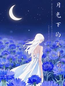 【cn】月光下的矢车菊