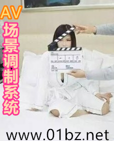AV场景调制系统