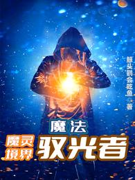 魔法，魔灵境界驭光者