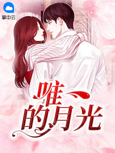 唯一的月光