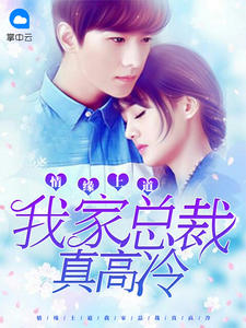 情缘上道：我家总裁真高冷