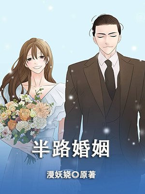 半路婚姻