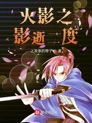 火影之影逝二度