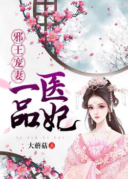 邪王宠妻：一品医妃