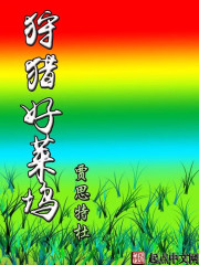 闪婚天降神秘老公