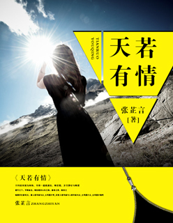 史上最强小舅子