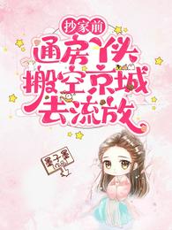 抄家前，通房丫头搬空京城去流放